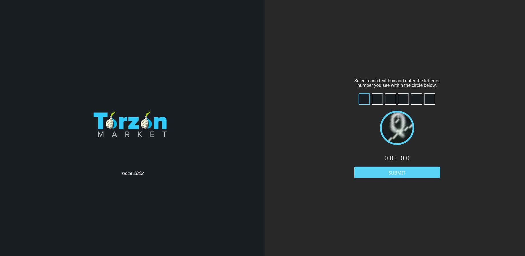 TorZon DDoS Protection Layer